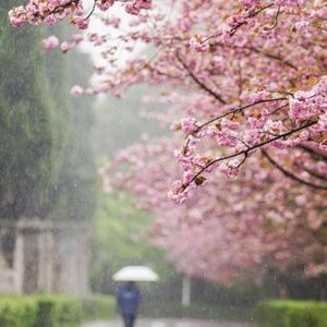 Meet your Posher, Jade